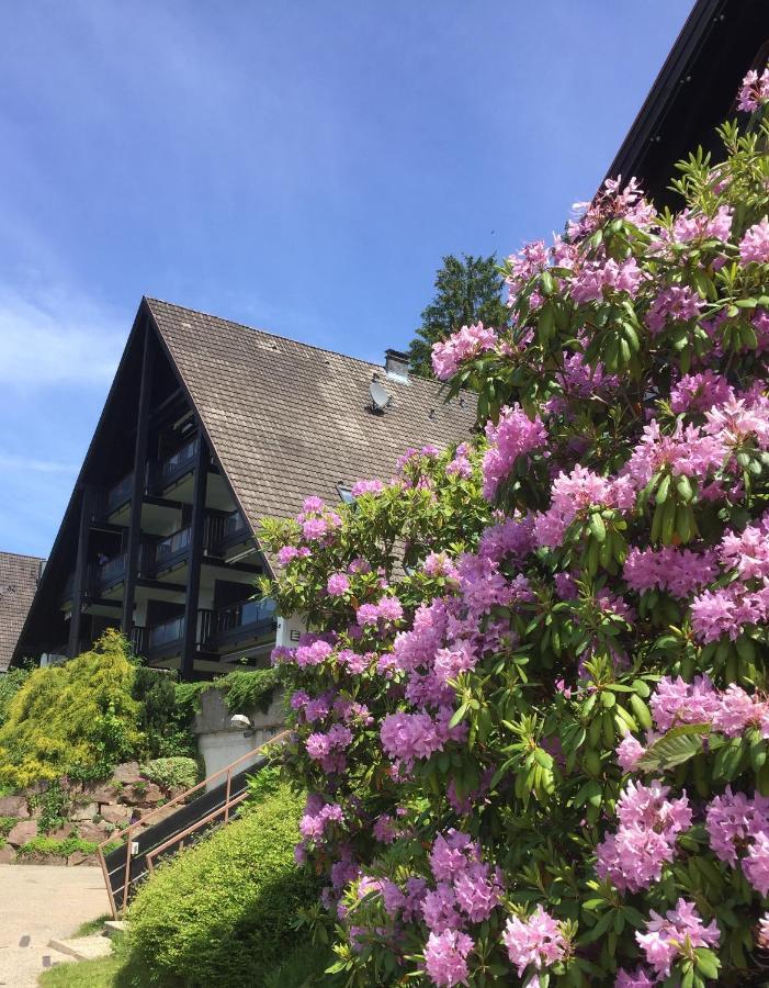 Panorama Point Apartment Sasbachwalden Bagian luar foto